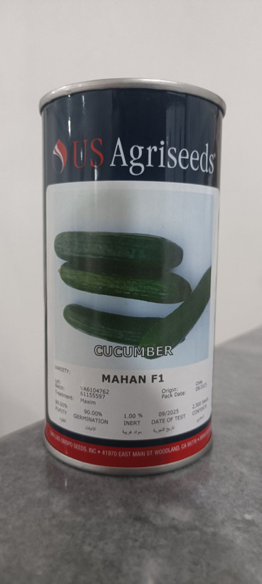 بذر خیار ماهان 2500 عددی اصل آمریکایی US Agriseeds